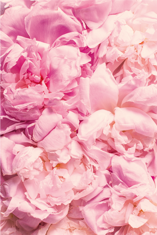 Vinyl Teppich Wohnzimmer zartrosa details - TenStickers