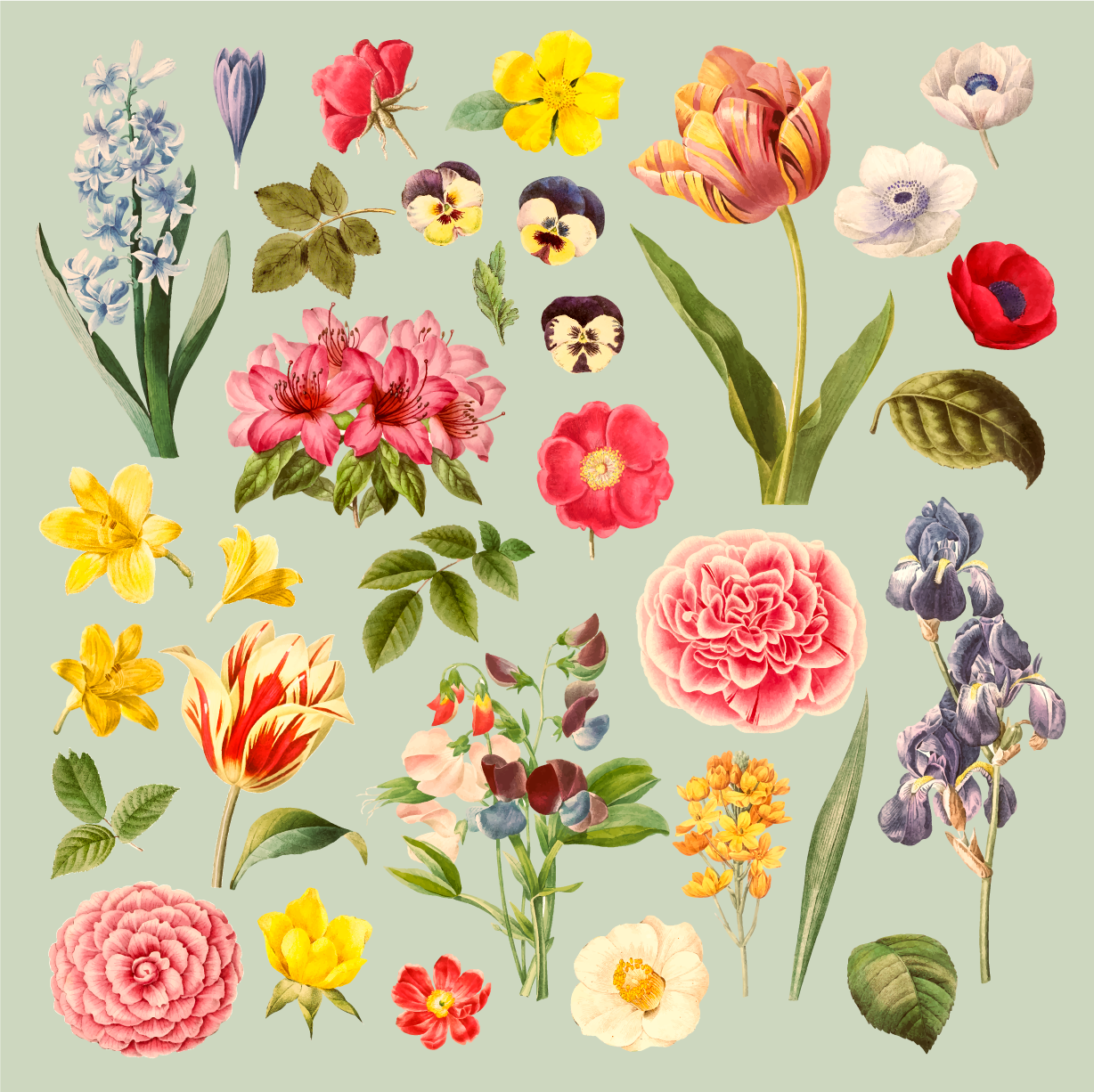 Vinyl Teppich Blumen florale botanische sammlung - TenStickers