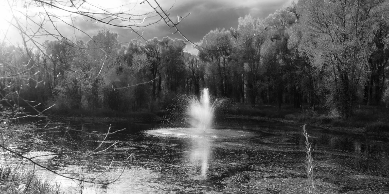 Vinyl Teppich Natur ruhiger blick auf den wasserfall - TenStickers