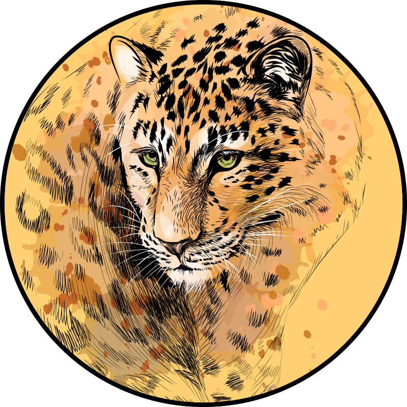 Vinyl Teppich Tiere leopardengesicht - TenStickers