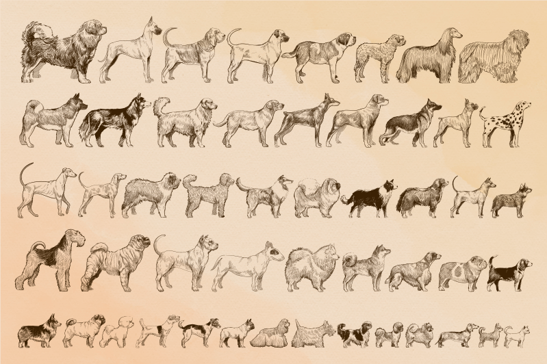 Vinylteppich Tiere Hundegrößen - TenStickers