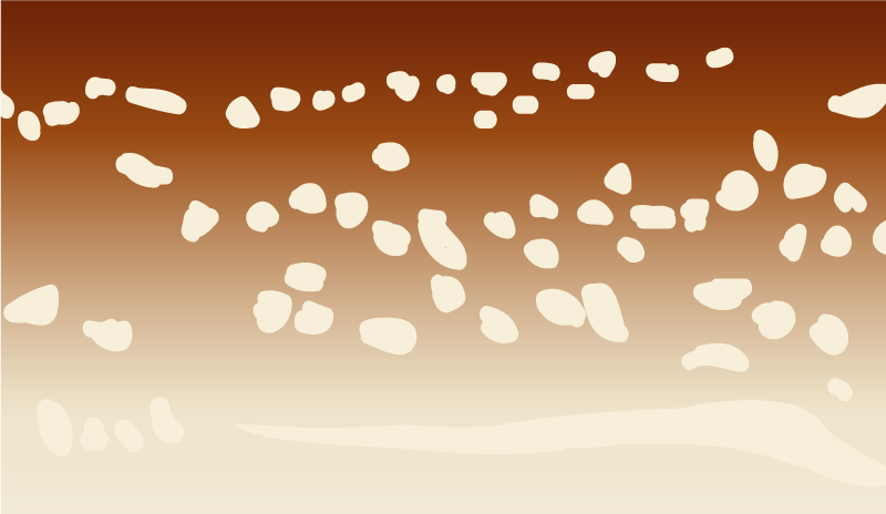 Vinylteppich Steinoptik brauner gehweg - TenStickers