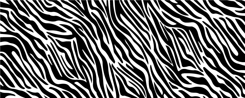 Vinylteppich Animal Print Dünne zebrastreifen - TenStickers