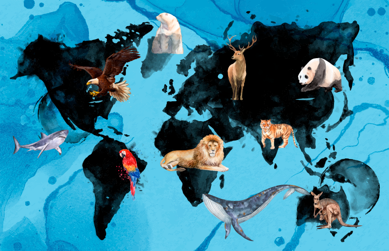 Vinyl Teppich kindlich blaue und schwarze tierwelt - TenStickers