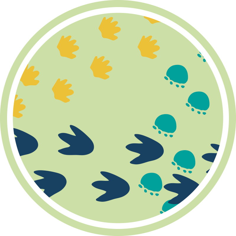 Vinyl Teppich kindlich design mit dinosaurier-fußabdrücken - TenStickers