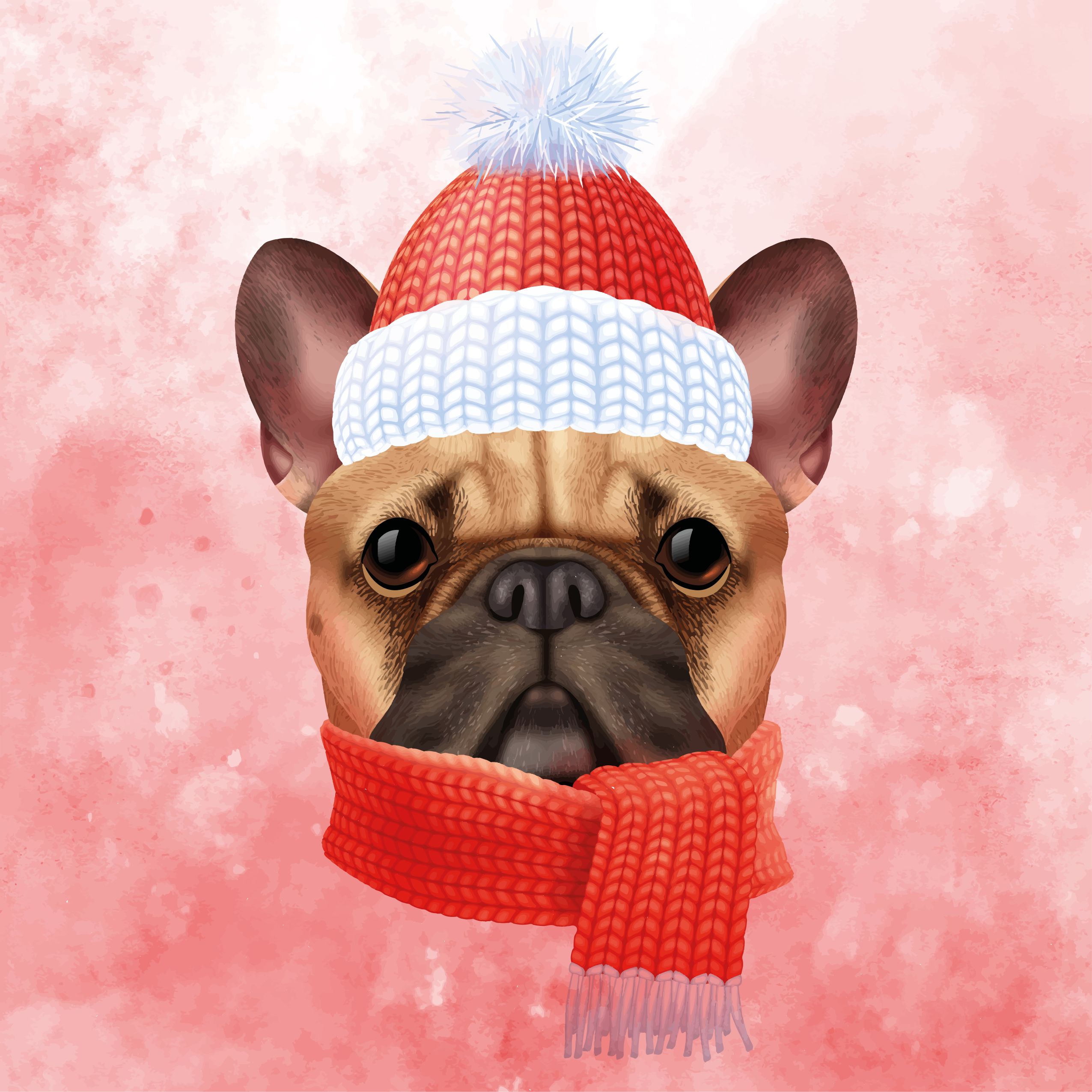 Vinyl Teppich Tiere französische bulldogge im winter - TenStickers