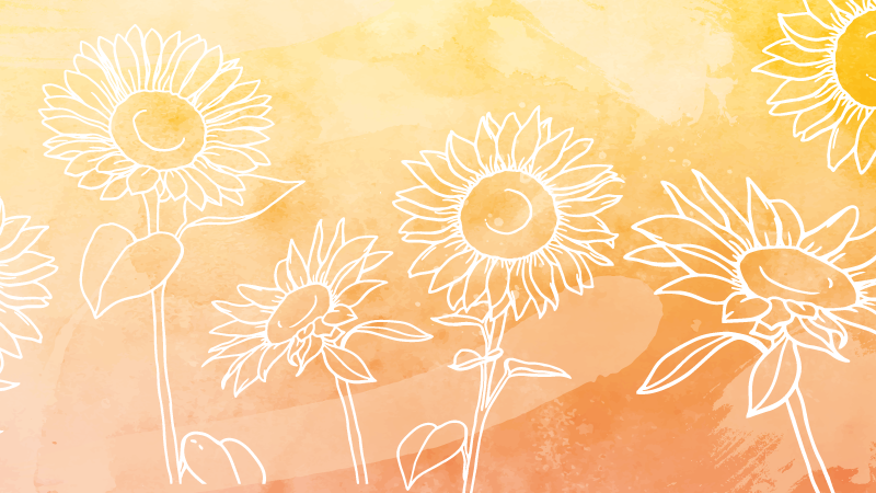 Vinyl Teppich Blumen sonnenblumenblüten-design - TenStickers