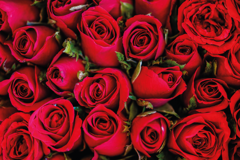 Vinyl Teppich Blumen rosenstrauß - TenStickers