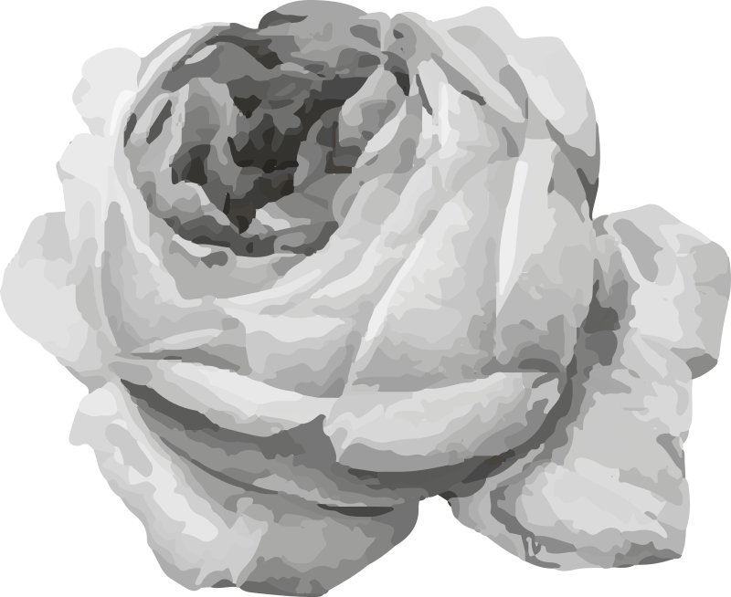 Vinyl teppich blumen rose blüte - TenStickers