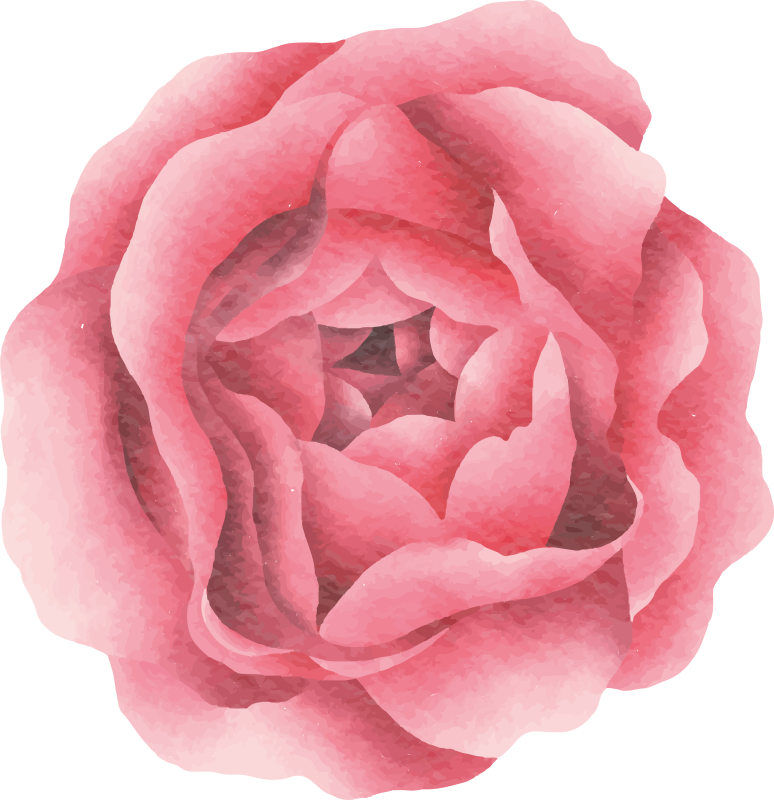 Vinyl Teppich Blumen erröten rosa blüte - TenStickers