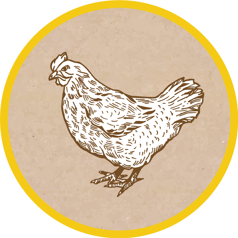 Vinyl Teppich Tiere huhn-illustration - TenStickers