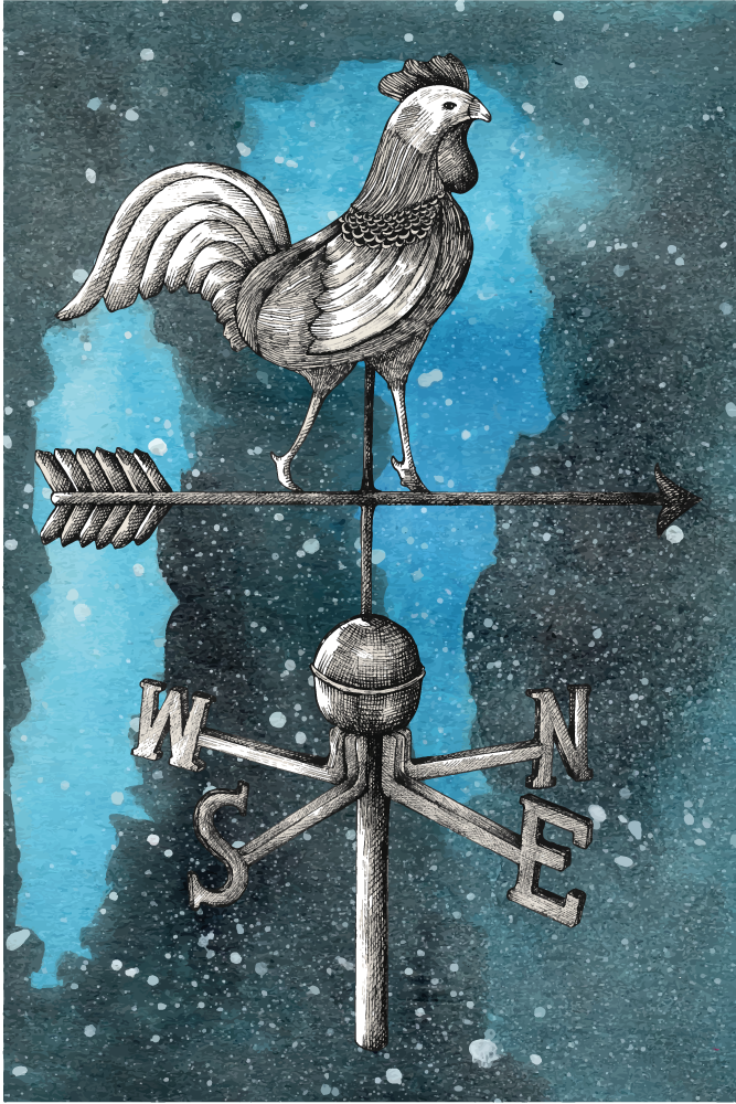 Vinyl Teppich Jugendzimmer wetterfahne hahn - TenStickers