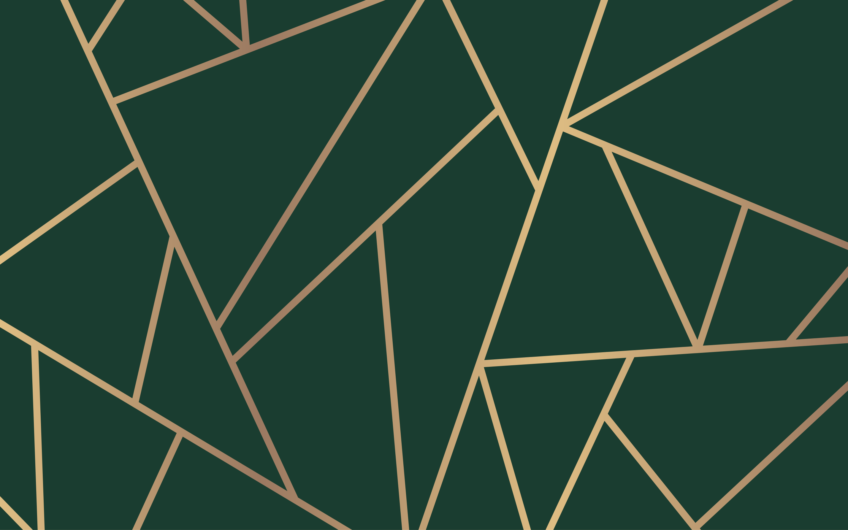 Vinylteppich modern Goldene Linien - TenStickers