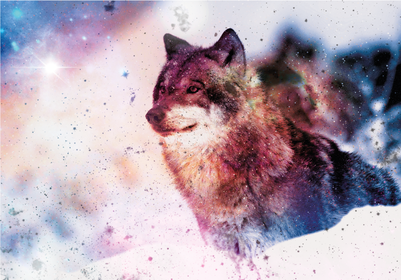 Vinyl Teppich Tiere kosmisches wolfsbild - TenStickers