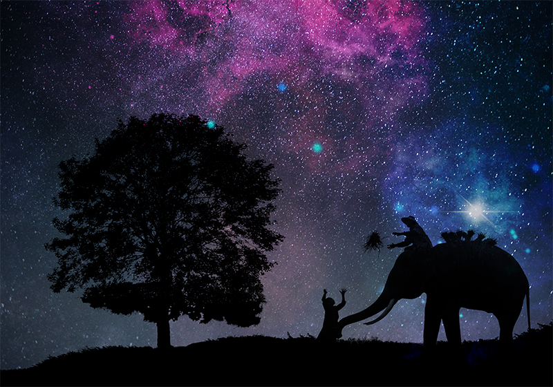 Vinyl Teppich Tiere kosmisches elefantenabenteuer - TenStickers