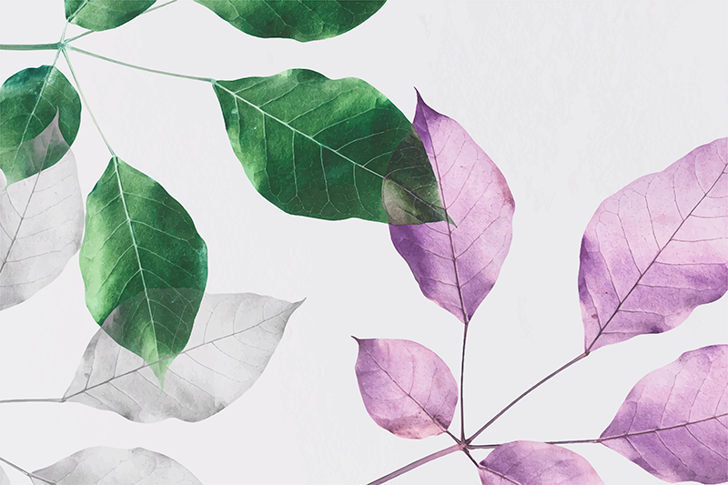 Vinyl Teppich Blumen botanische blattdrucke - TenStickers