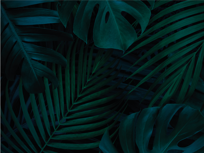 Vinyl Teppich Blumen tropisches laub - TenStickers