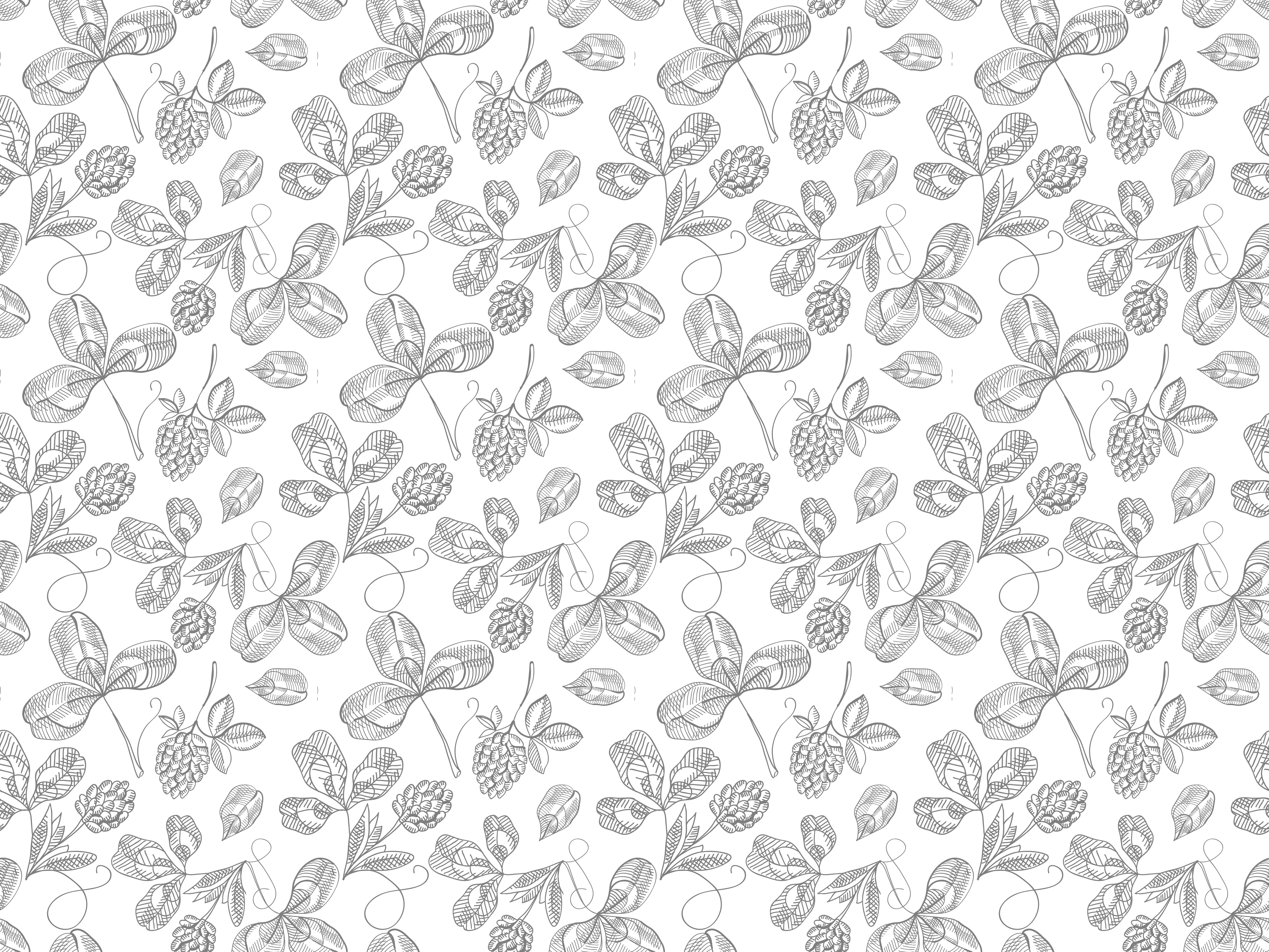 Vinyl Teppich Blumen botanische lineart - TenStickers