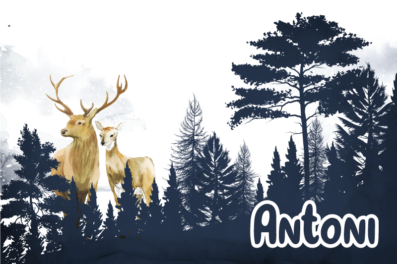 Vinyl Teppich mit Namen wald fauna silhouette - TenStickers