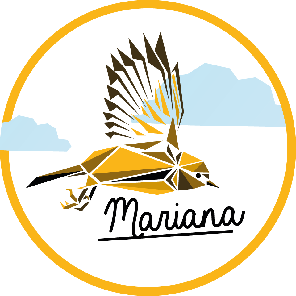 Vinyl Teppich mit Namen personalisierter vogel - TenStickers