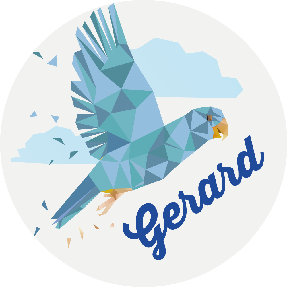 Vinyl Teppich mit Namen individueller geometrischer adler - TenStickers