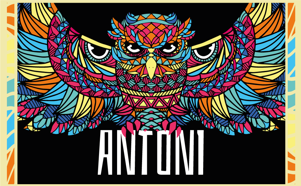 Vinyl Teppich mit Namen bunte eulenanpassung - TenStickers