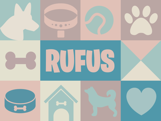 Vinylteppich Tiere Hunde personalisiert - TenStickers