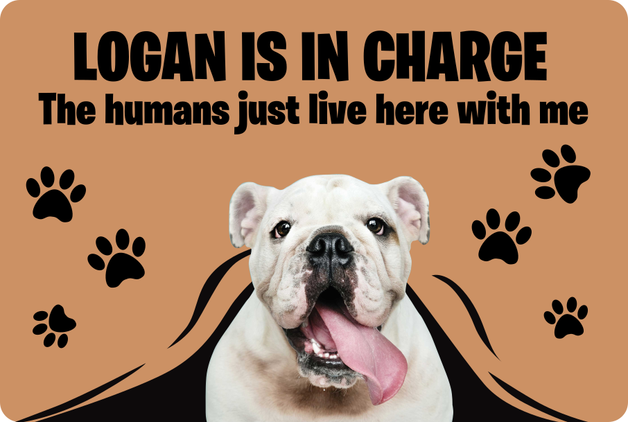 Vinylteppich Diele Benutzerdefiniertes foto haustier - TenStickers