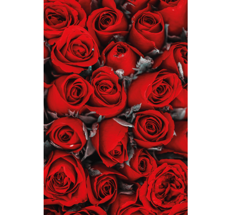 Blumentapete rote rosen romantisch - TenStickers