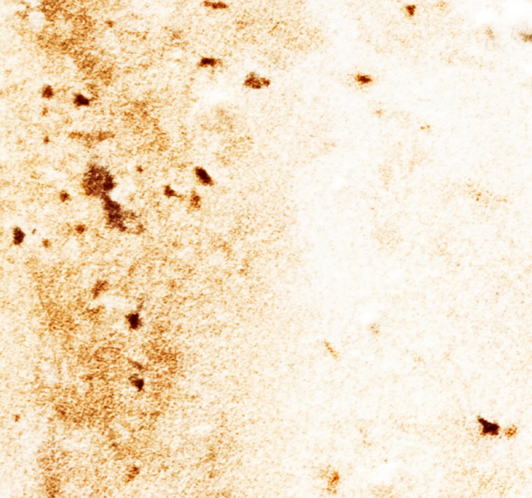 Marmor Tapete Ästhetik aus naturstein - TenStickers