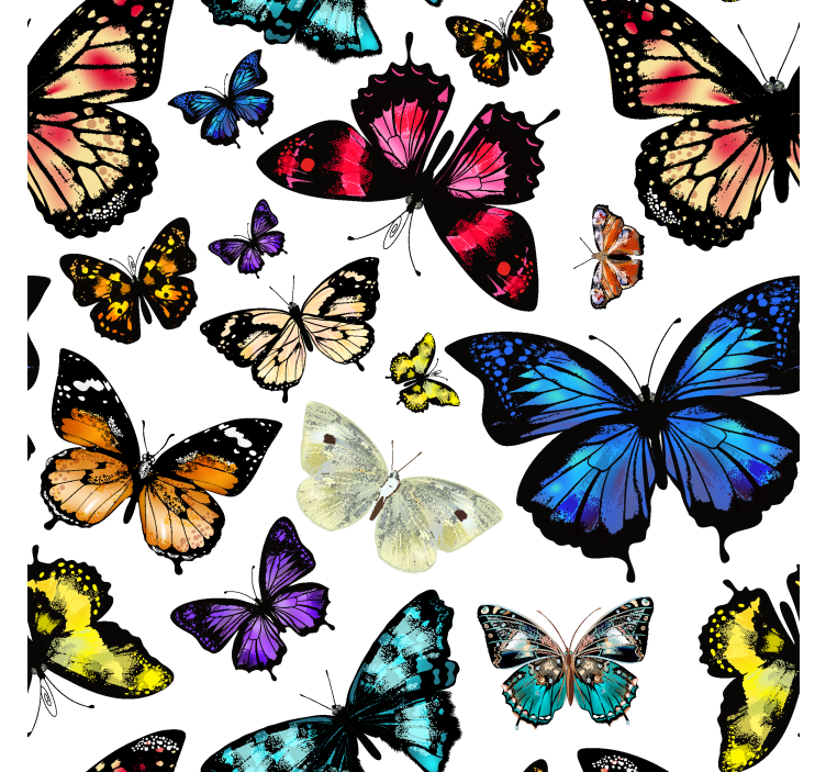 Tapete Schmetterling farbiges flugmotiv - TenStickers