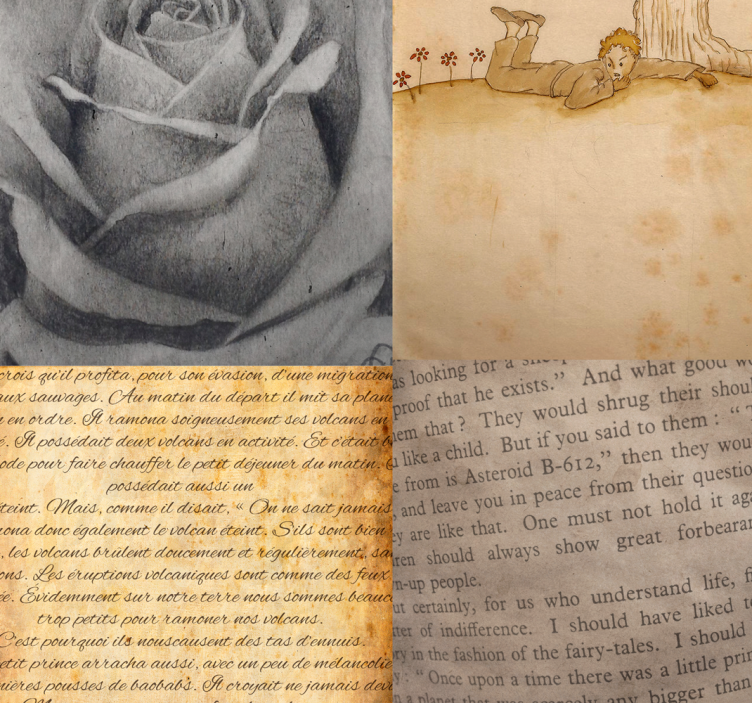 Der kleine Prinz - Brief Tapete - TenStickers