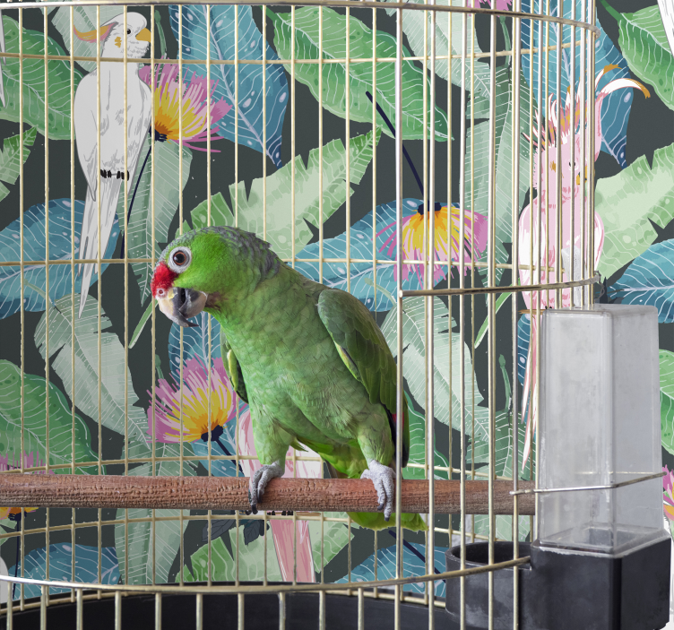 Vogel Tapete tropische Vögel und Blätter - TenStickers