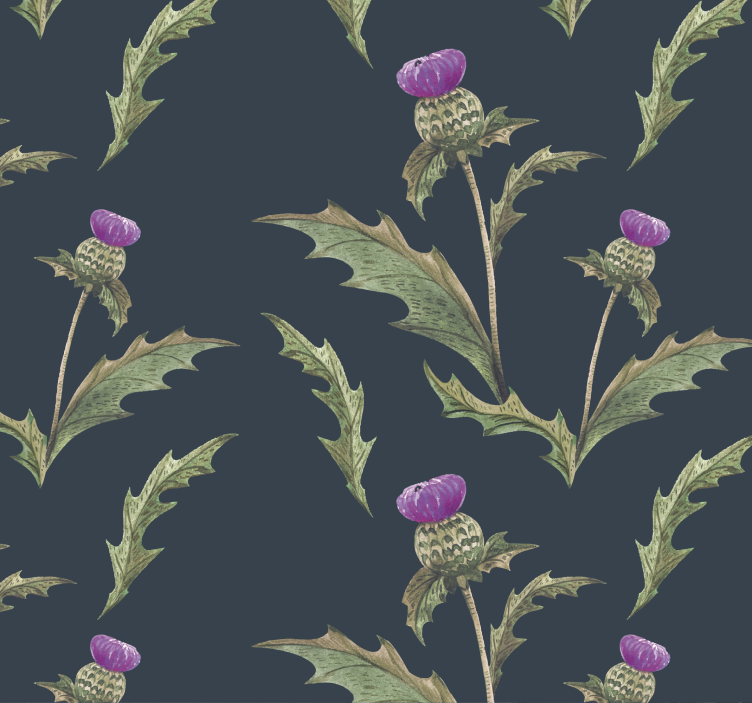 Blumentapete Grüne und violette schottische distel - TenStickers