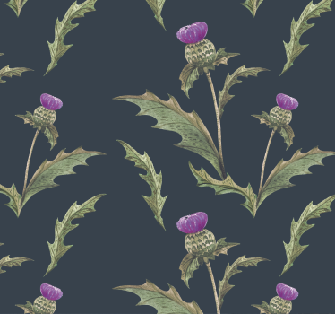 Tapete Blumen Grüne und violette schottische distel - TenStickers